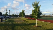 Grand Park Field